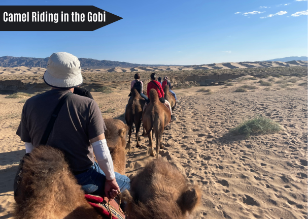 Things to do in Mongolian Gobi